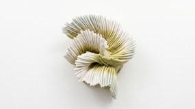 Daniela Bergschneider, Still unfolding III