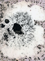 Ria Wank, Untitled