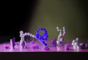 Louise te Poele, Surface Molecule