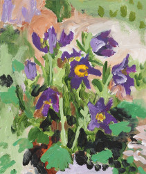 Jessica Skowroneck, Pulsatilla vulgaris can relax the uterus