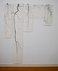 Milena Bonilla, Sketching for Gardening series (i)