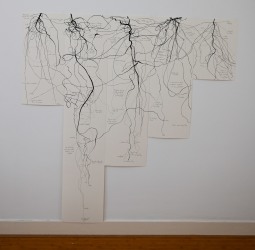 Milena Bonilla, Sketching for Gardening series (ii)