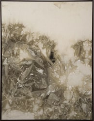 Melissa Moria, Nature will find it's way