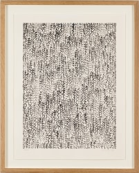 Jan Schoonhoven, T 79-82