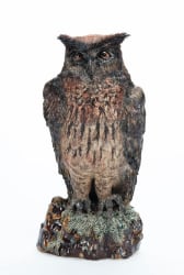 Carolein Smit, Eagle Owl.