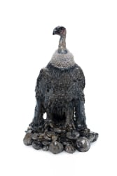 Carolein Smit, Big Vulture