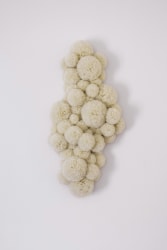 Sofie Aaldering, Softly held