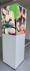 Tom Woestenborghs, Reading possitions ( vanitas theme)