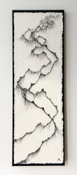Hyun Joung Lee, Collision