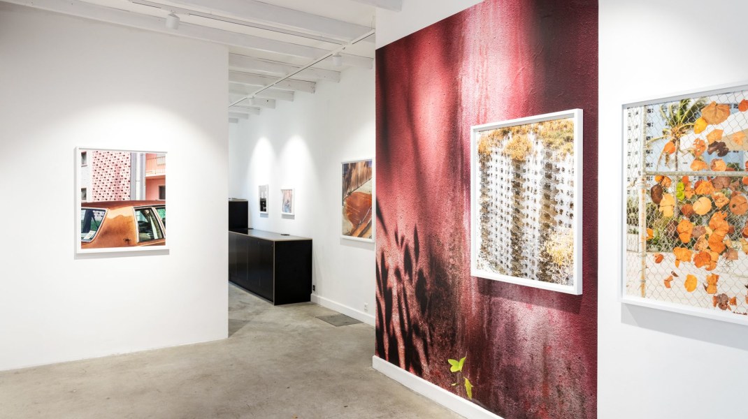 Anastasia Samoylova, Anastasia Samoylova – ‘Floridas’ | Galerie Caroline O'Breen, Amsterdam