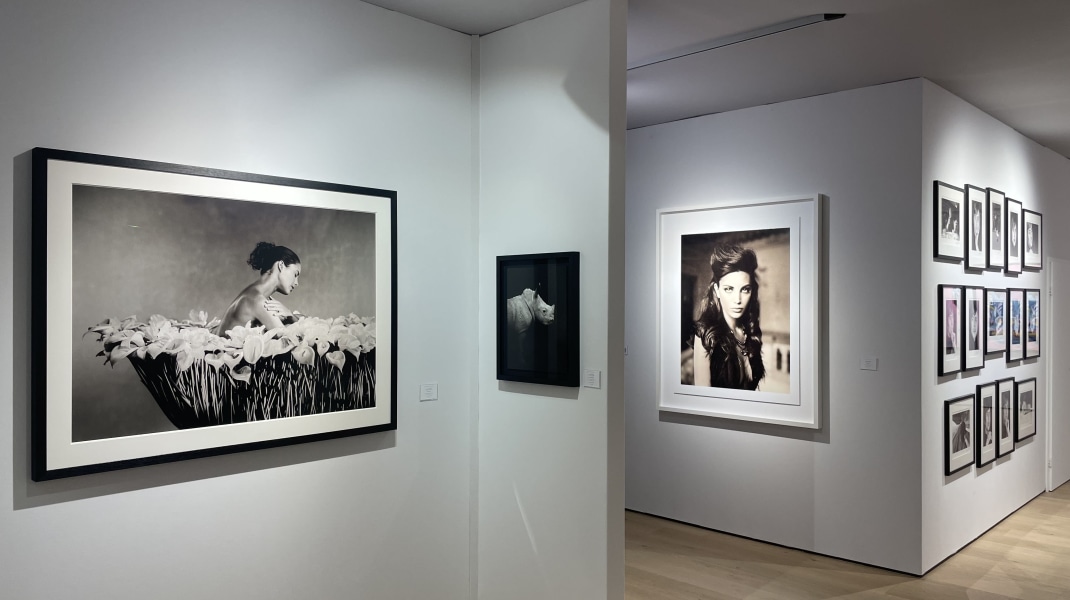 Marc Lagrange, Marc Lagrange's werk op PAN Amsterdam 2023, met SmithDavidson Gallery