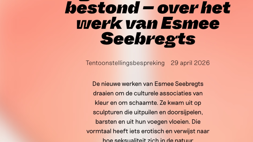 Esmee Seebregts, Mister Motley / Lieneke Hulshof / 29 april 2026 / Stel je voor dat er geen schaamte bestond - over het werk van Esmee Seebregts