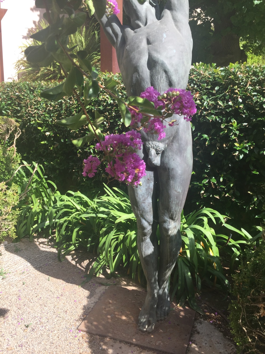 Gallerie penis Family nudism