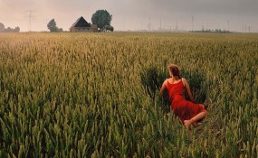 Ellen Kooi, TORCH Gallery