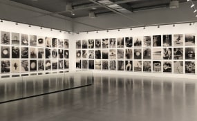 Paul Kooiker, tegenboschvanvreden