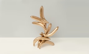 Sanell Aggenbach, Nuweland