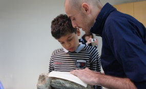 Diego Cibelli, CINNNAMON