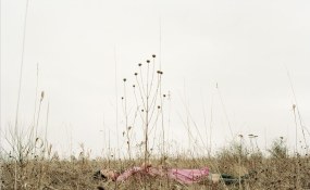 Kanako Sasaki, Contour Gallery