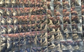 Sara Nuytemans, PHOEBUS Rotterdam