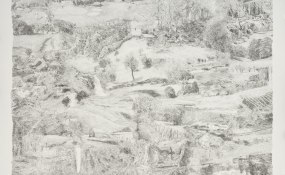 Anne Marie Finné, PHOEBUS Rotterdam