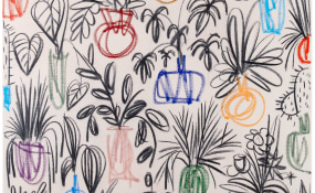 B.D. Graft, Nuweland