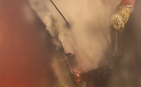 Maxime Brigou, FRED&FERRY