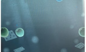 Nelleke Cloosterman, PLUS-ONE Gallery