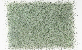 Jadranka Njegovan, PHOEBUS Rotterdam