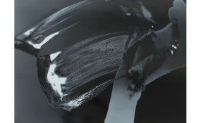 Eva-Maria Schön, PHOEBUS Rotterdam