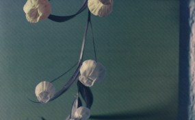 Chaïm Dijkstra, Galerie Caroline O'Breen