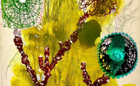 Seet van Hout, ROOF-A