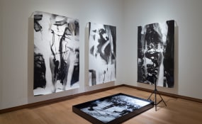 Aimée Zito Lema, tegenboschvanvreden