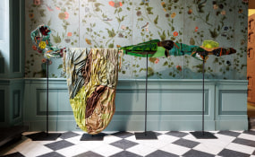 Ana Navas, tegenboschvanvreden