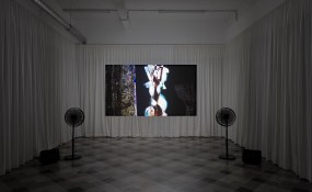 Helen Dowling, tegenboschvanvreden