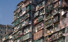 Ian Lambot, Blue Lotus Gallery