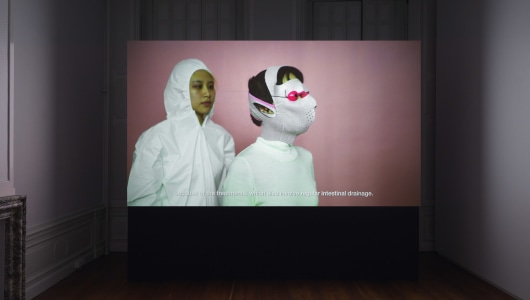 PINK SLIME CAESAR SHIFT, Jen Liu, 