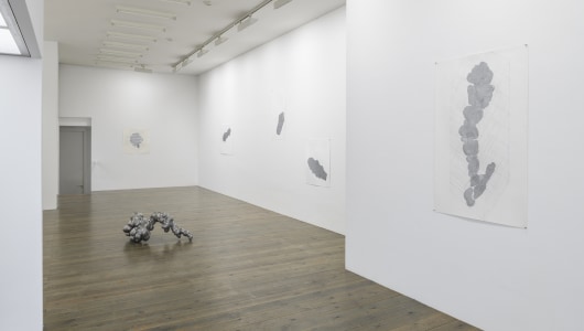 Silver, Adam Colton, 