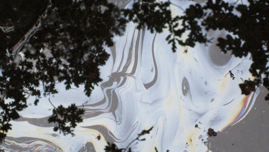 Daan van Golden / Charly van Rest "Beeld en geluid", Daan van Golden, 