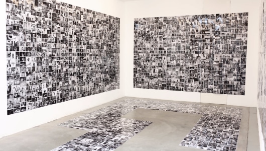 I Am Sander Dekker, Sander Dekker, 