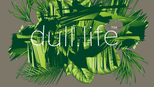 dull.life™- hack, hustle, historicize, Constant Dullaart, 