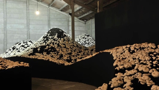 Kunstenfesfival Watou 2019, Zeger Reyers, 