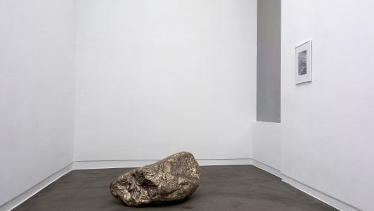 highway, Anya Gallaccio, 