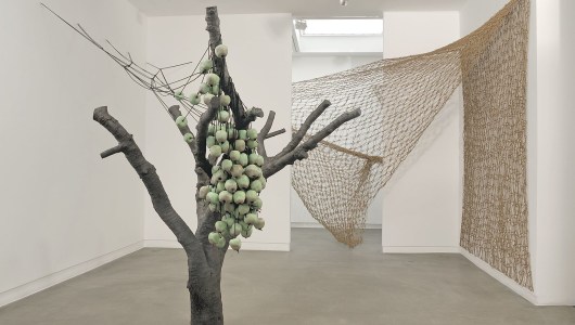 Anya Gallaccio, Anya Gallaccio, 