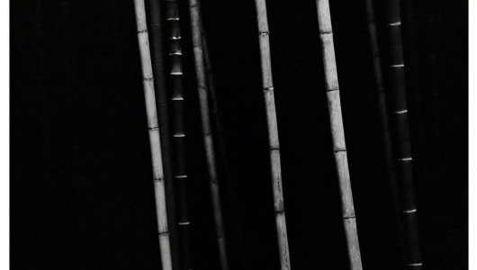 Bamboo, Choi Byung-Kwan, 