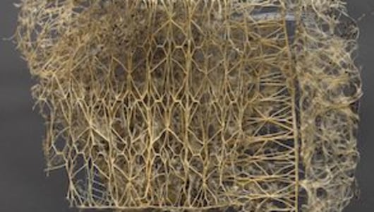 Art Rotterdam 2020, Anne Geene, Diana Scherer, Witho Worms, 