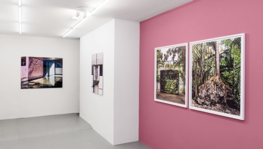 FloodZone, Anastasia Samoylova, 