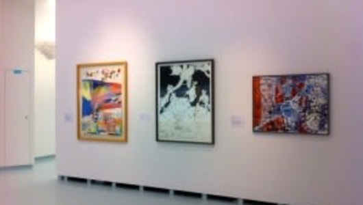 Museum Het Valkhof Nijmegen "vaste collectie", Marjolijn van den Assem, 