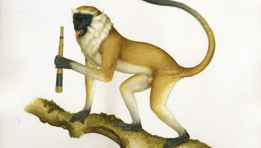 Vile Creatures - A natural history of my ex-boy..., Lindsey Carr, 