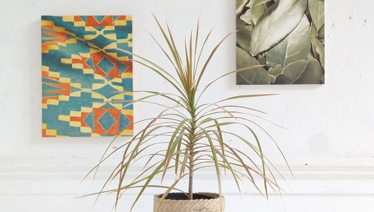 Botanical Interlude, Jasper Hagenaar, 