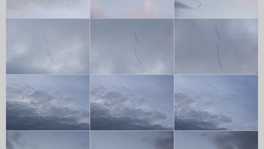 UNSEEN 2021, Wout Berger, Noor Damen, 